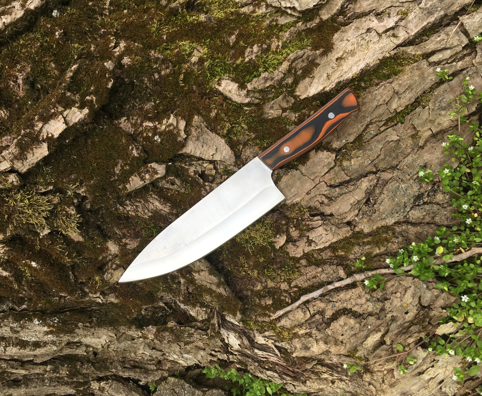 Handcrafted kitchen knife with orange and black handle on mossy tree bark